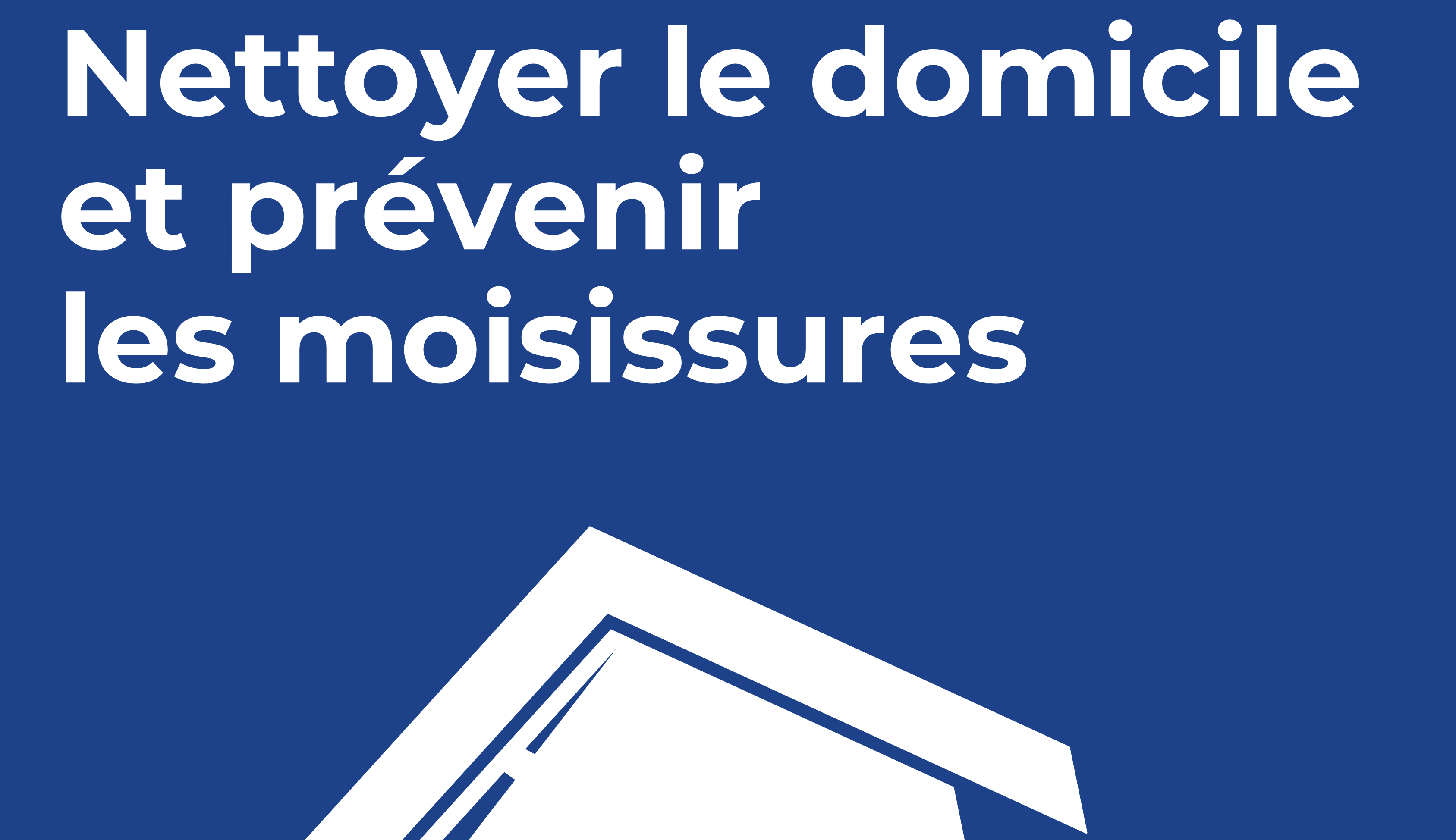 Prévenir la croissance de moisissures dans votre maison à la suite d’une inondation 