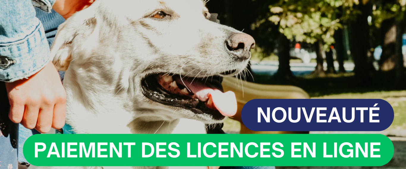 NOUVEAUTÉ – PAIEMENT DE LICENCE POUR CHIEN EN LIGNE🐶