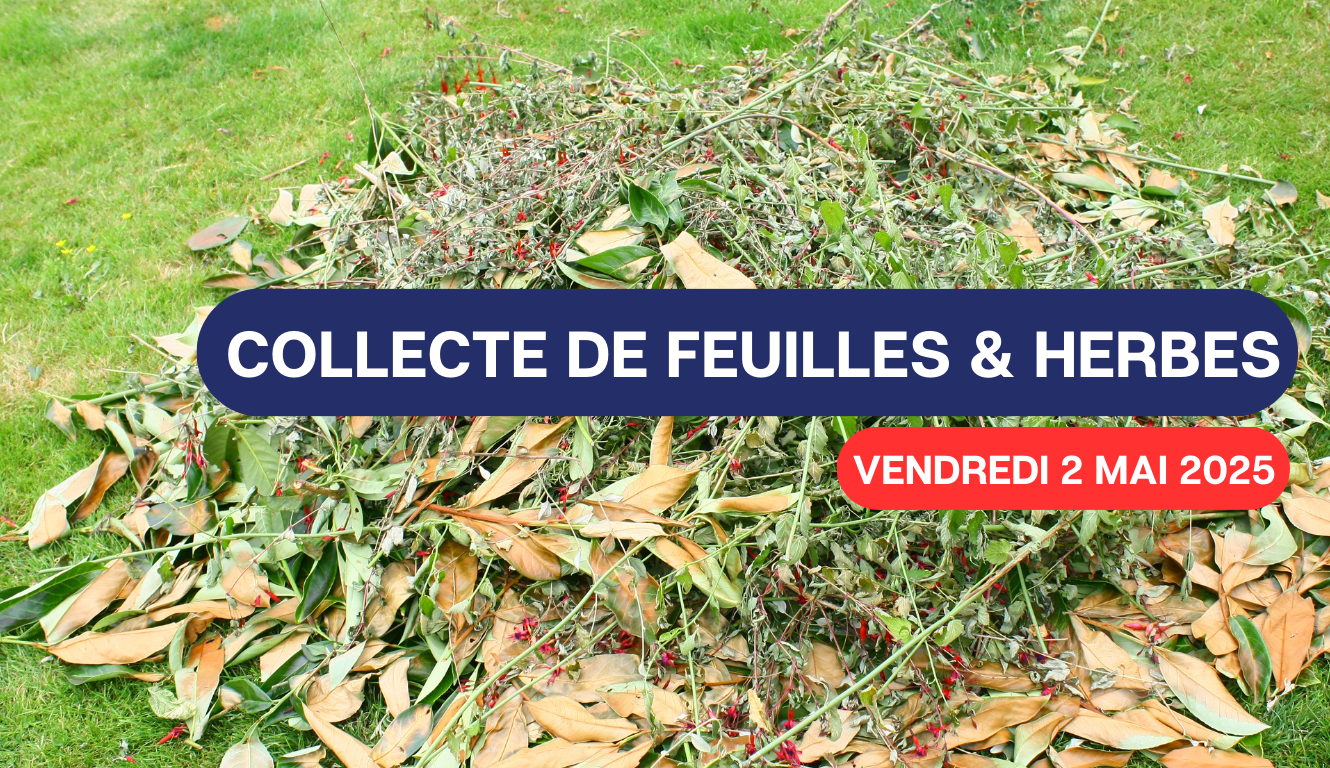 COLLECTE DE FEUILLES ET HERBES – CE VENDREDI ! 🍃