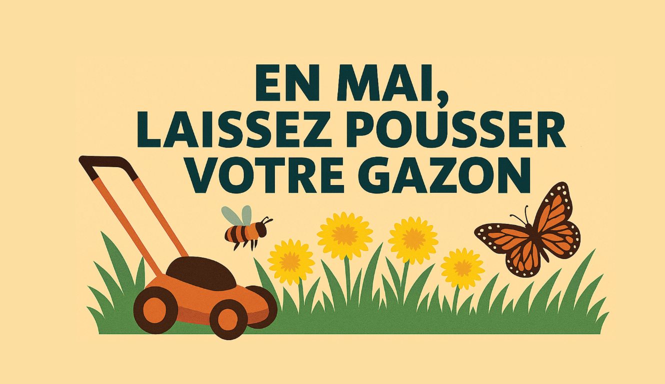 MAI FLEURI À SAINT-AMBROISE-DE-KILDARE 🌷